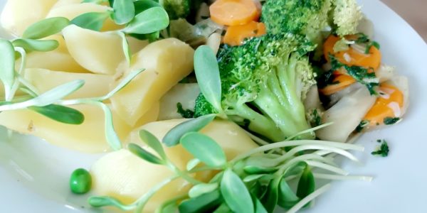 20230711_130349_resized